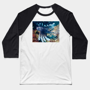 Caribbean Lion Fish at Night Baseball T-Shirt